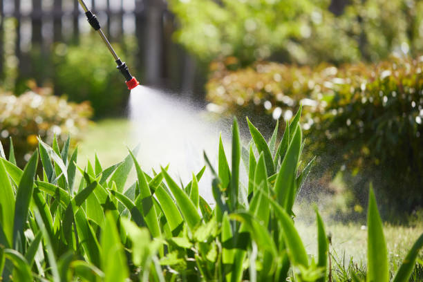 Tamper-Resistant Bait Stations for Rodents in Greenback