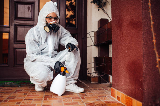 Attic and Crawl Space Rodent Treatment in Greenback