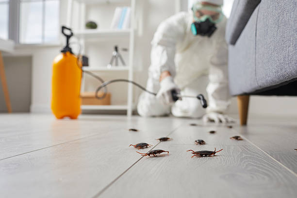 Commercial Rodent Management in Greenback